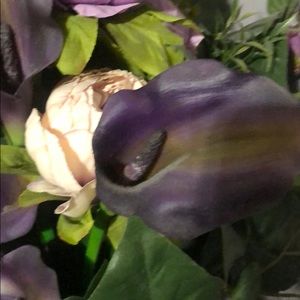 Meet your Posher, Dora